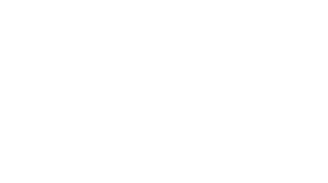 Techma footer logo